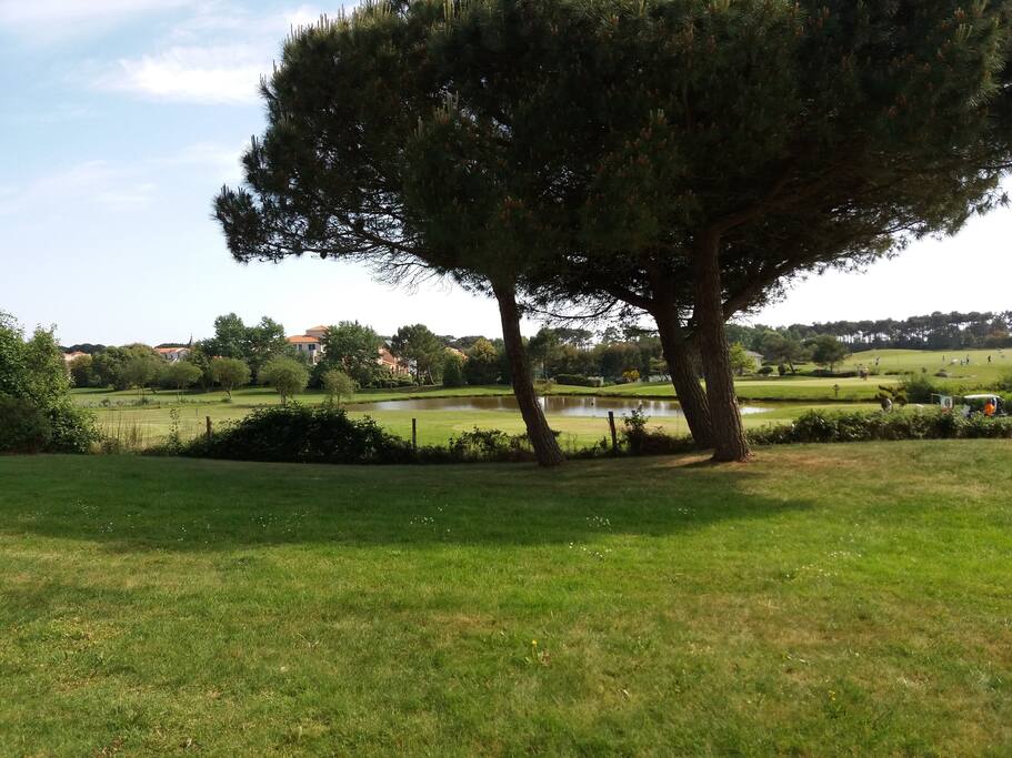 Vue de la terrasse