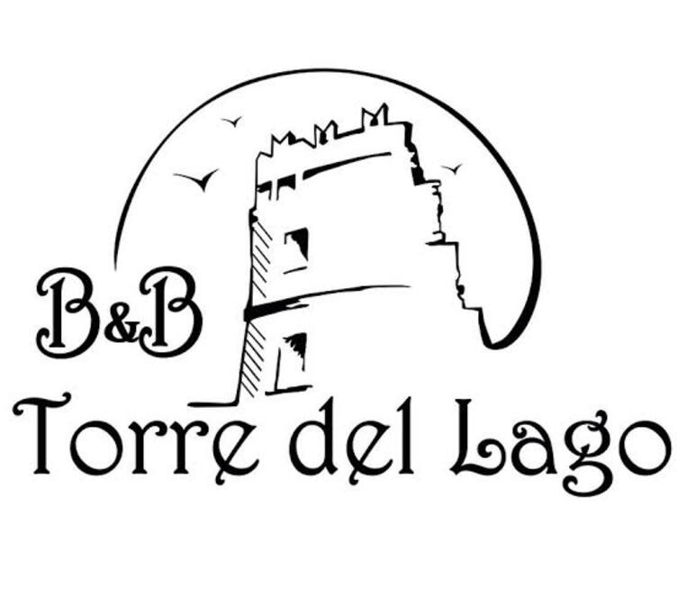 Logo- Brand