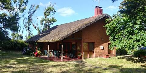 Stylish house, with divine park in Bella Vista.