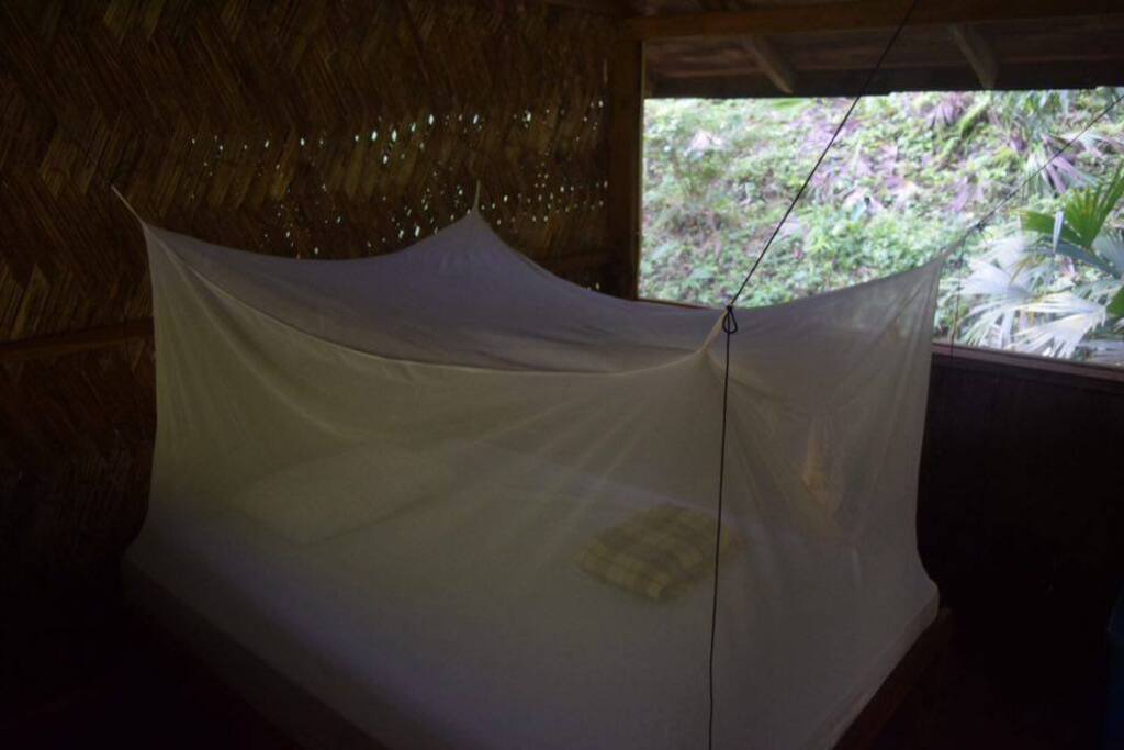bed with mosquito net
