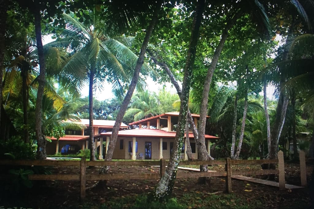 View of property from beach.