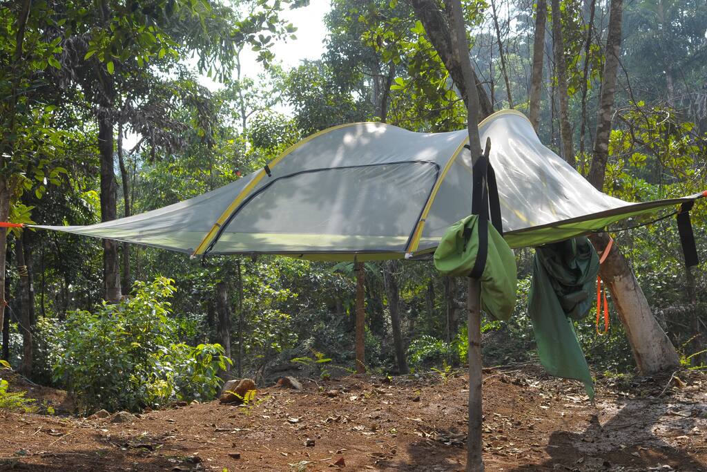 Tree tent