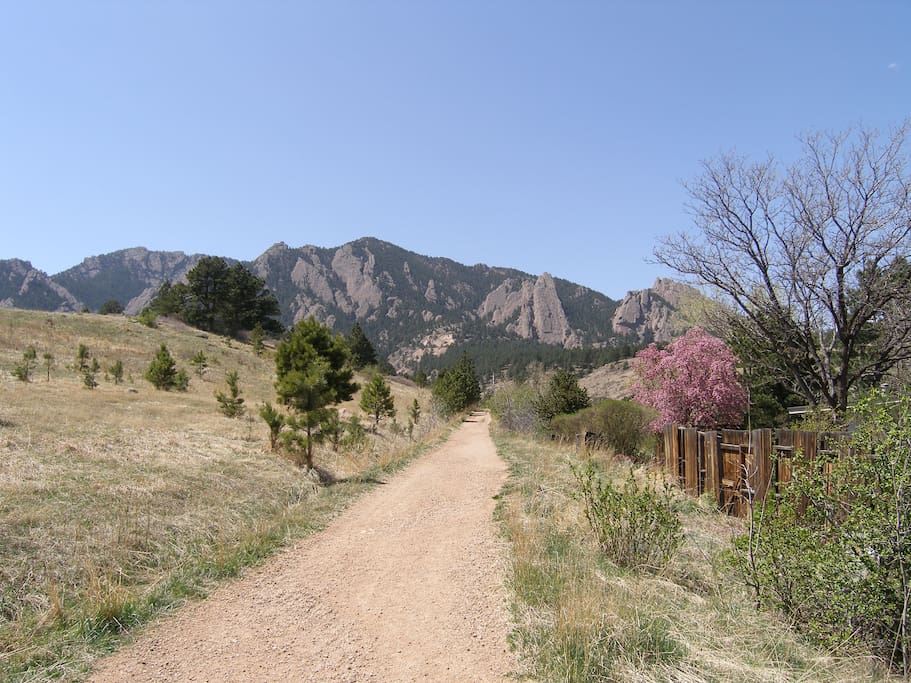 Behind our house - hiking trails to the Flatirons