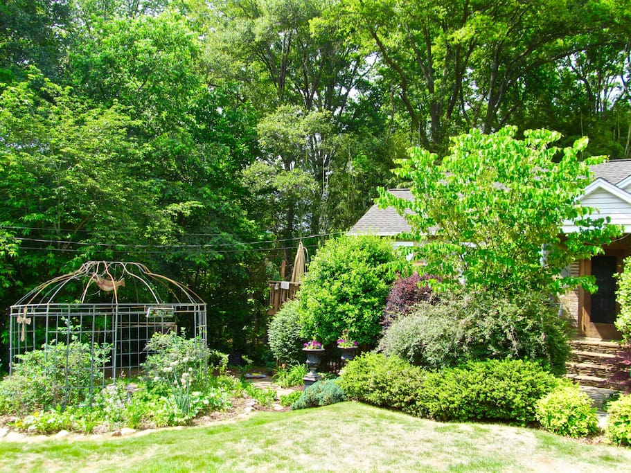 Enjoy our vege garden