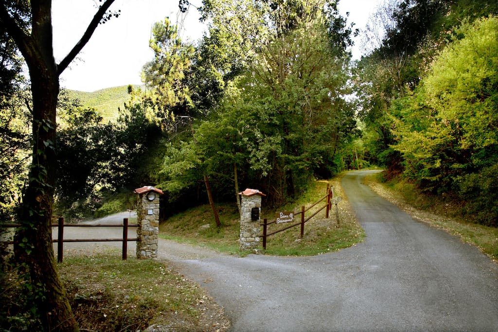 The entrance