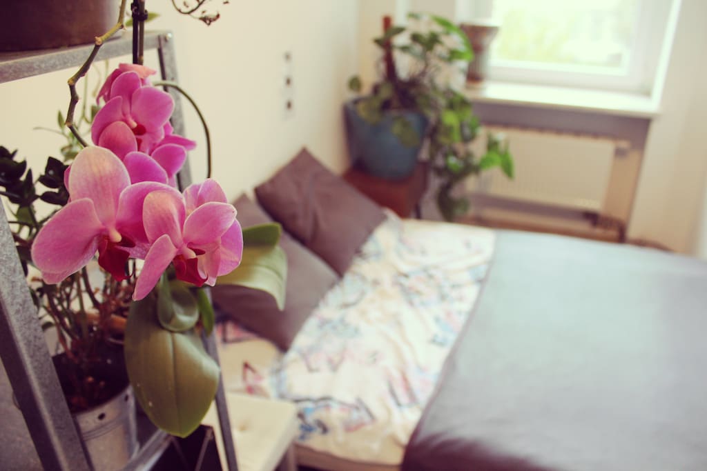 sypialnia mniejsza - 2os. łóżko | 2nd bedroom