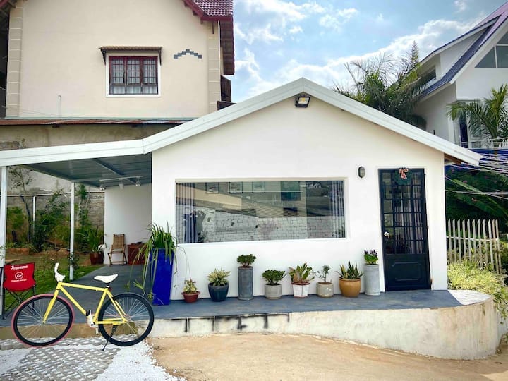 A modern white house is showcased with a gabled roof and a large window, allowing natural light to flow in. Potted plants are arranged in front, adding greenery. A yellow bicycle leans against the wall, enhancing the inviting outdoor space.