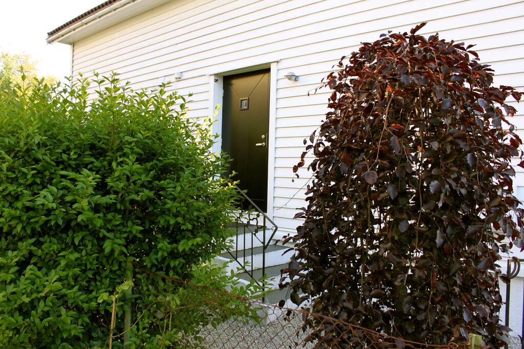 Cozy Old Timber House- Own entrance, ground floor