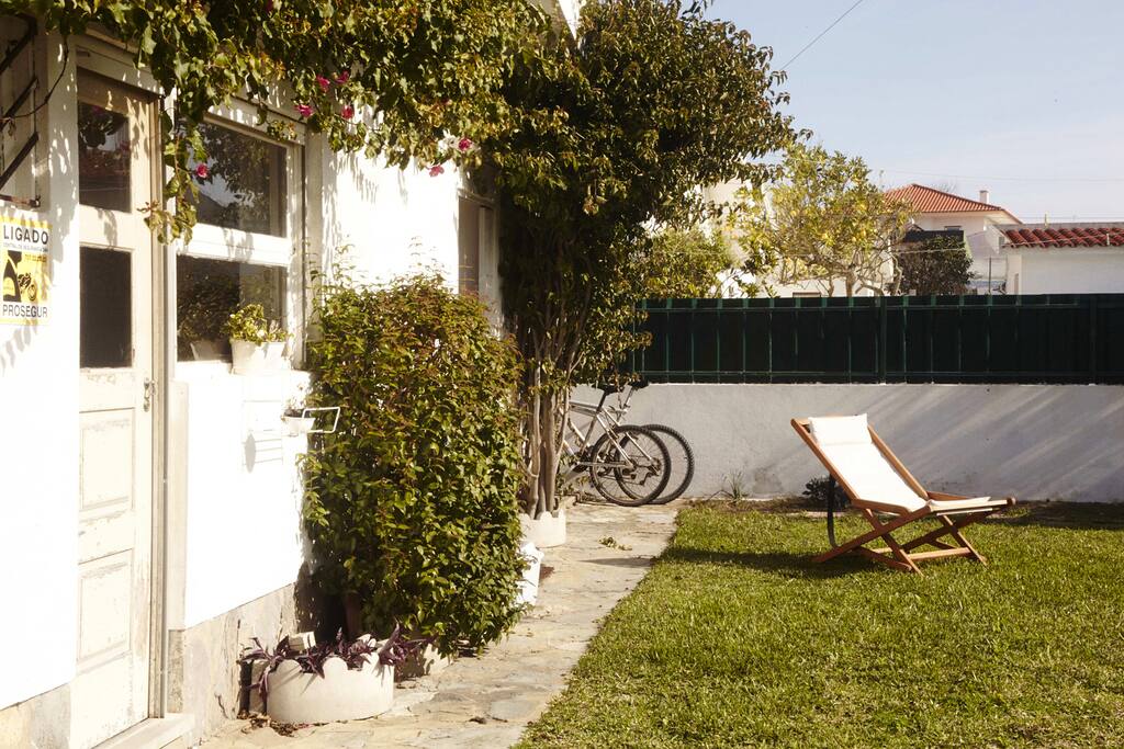 Back garden