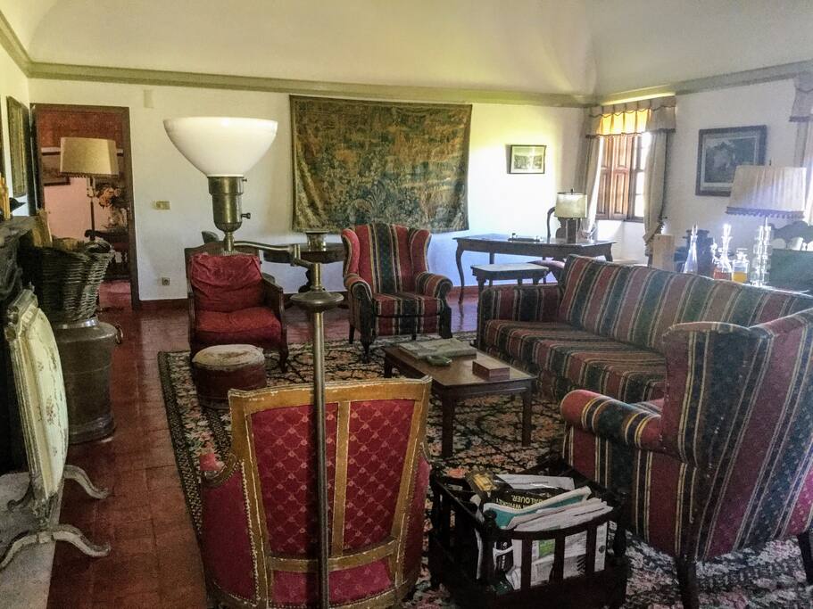 Living Room - Library