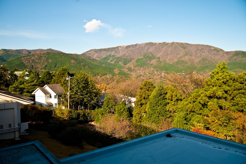 Mountain view from your private room.