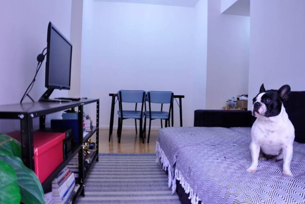 Holly na sala