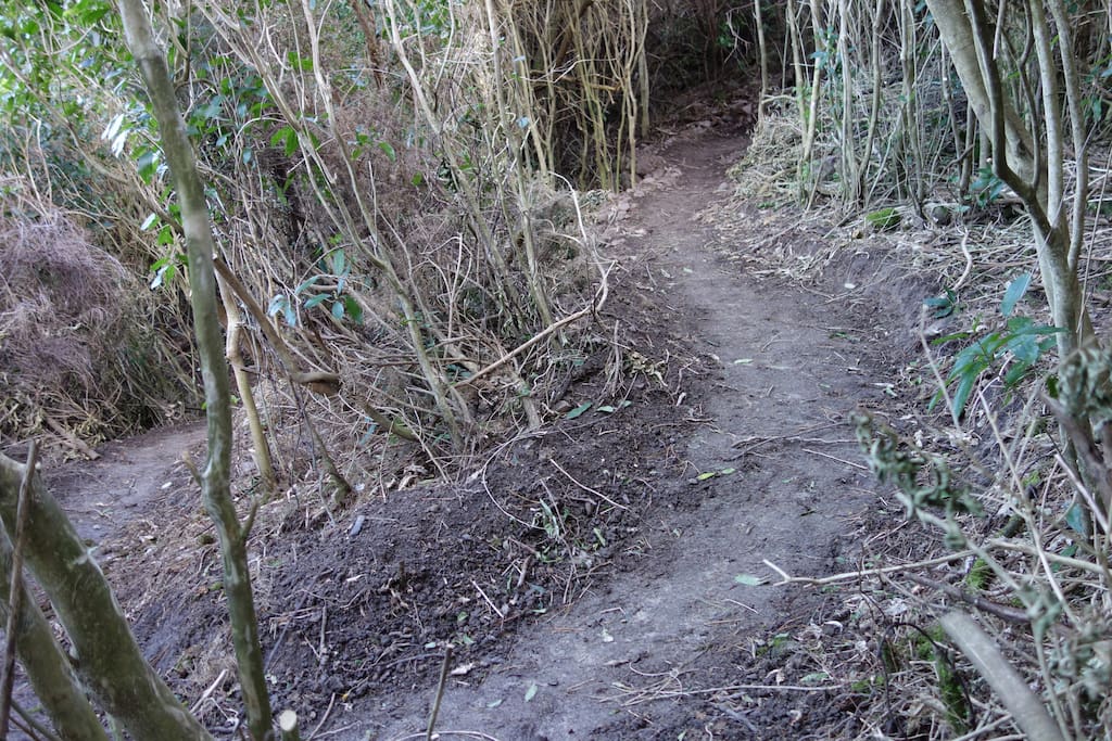 Some of our awesome tracks