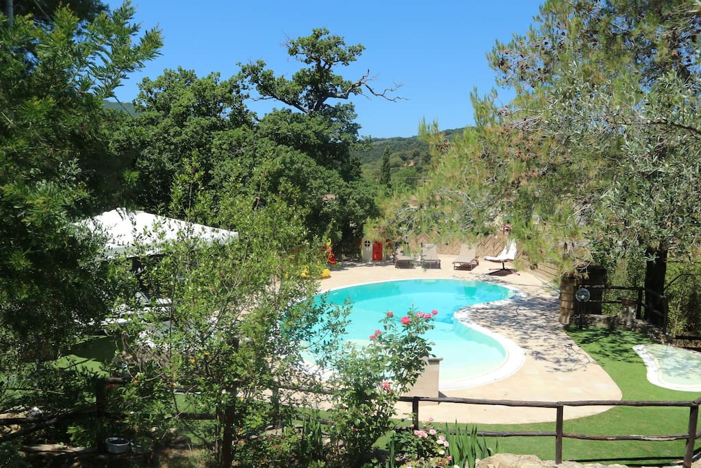 Holiday Home Swimming Pool