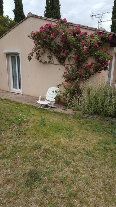 Le jardin