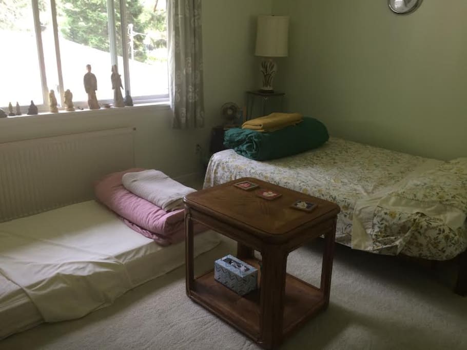 An Oasis set up with two comfortable beds. One a double futon with memory foam topper and the other a single foam or memory foam mattress on clean carpeted floor. We do not wear shoes in the house so everything remains clean.