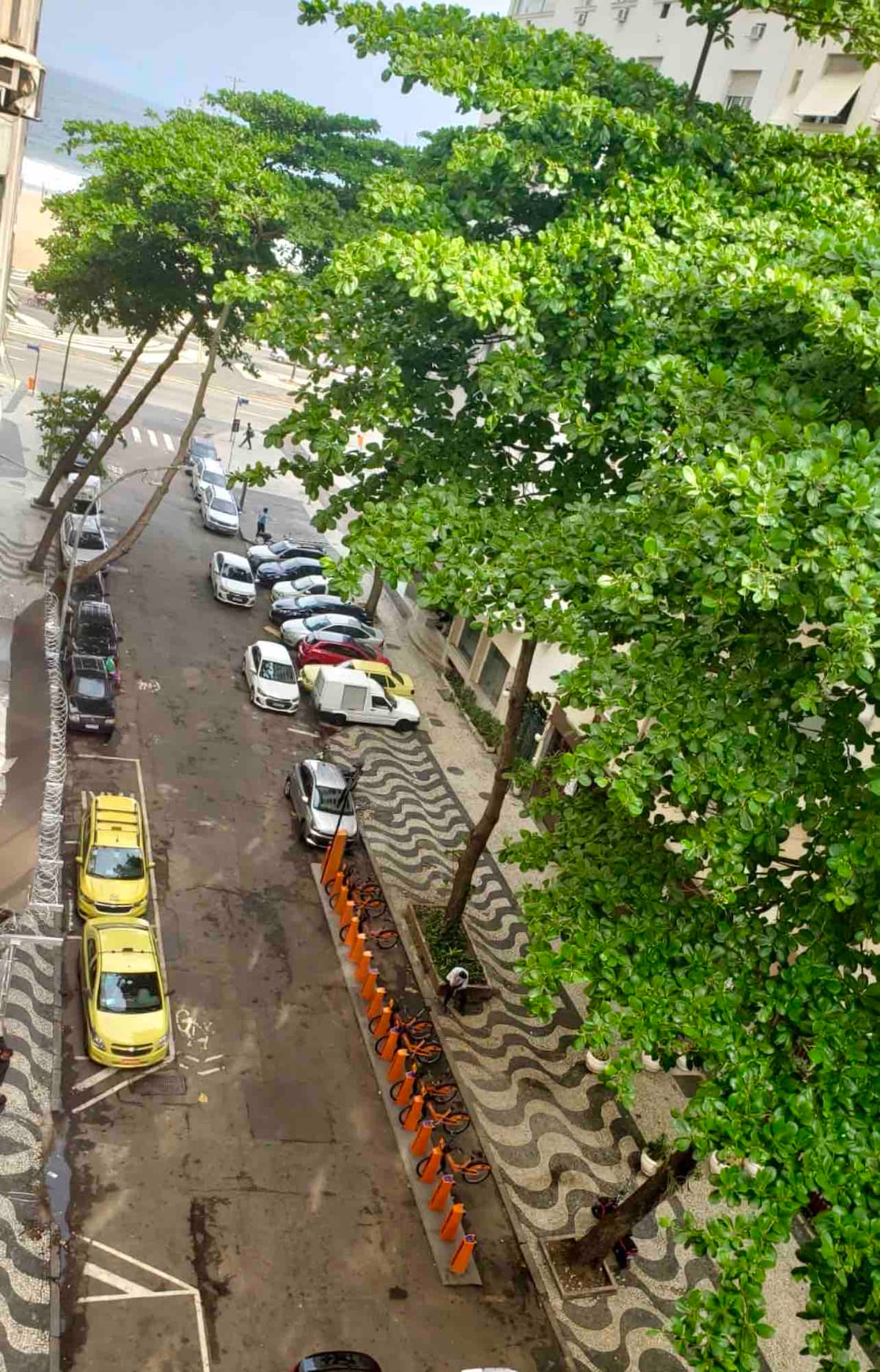 A view down a tree-lined street captures parked vehicles alongside a bike-sharing station. The shoreline is visible at the end of the street, framed by lush green trees that provide shade. The road features a distinct wave-patterned pavement.