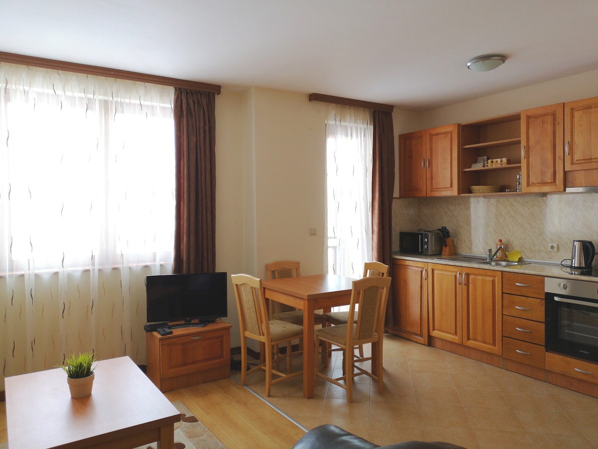 A cozy studio space is showcased, featuring a wooden dining table with four chairs and a well-equipped kitchen area. Natural light pours in through large windows, illuminating the room. A flat-screen television rests on a wooden cabinet, adding to the functional layout of the apartment.