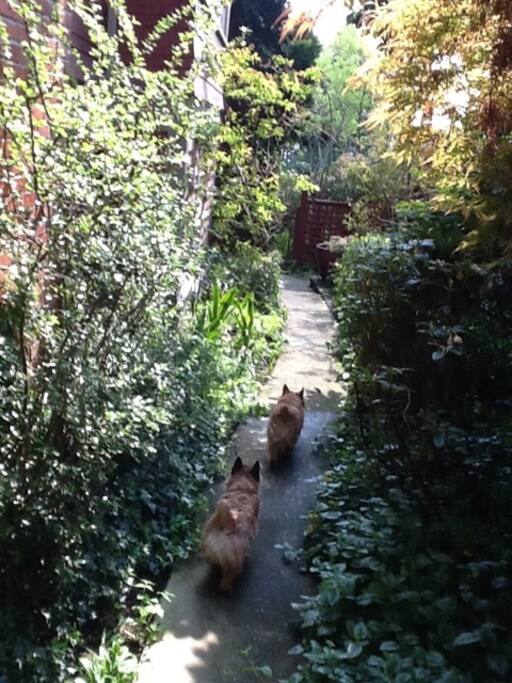 Follow the garden path along the side of the house to your private apartment. (The dogs are very friendly and do not have access to the apartment.)