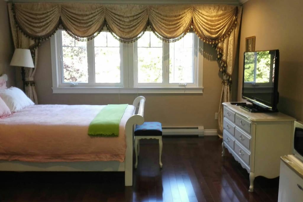 Large lux Room with beauty view! fully loaded. Max 3 guests.