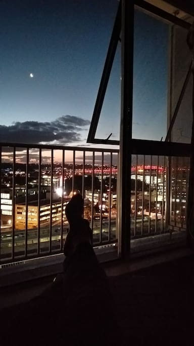 nite seaview