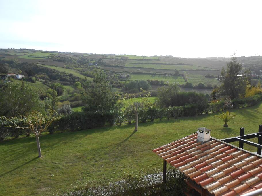 Paisagem maravilhosa ( Natureza)