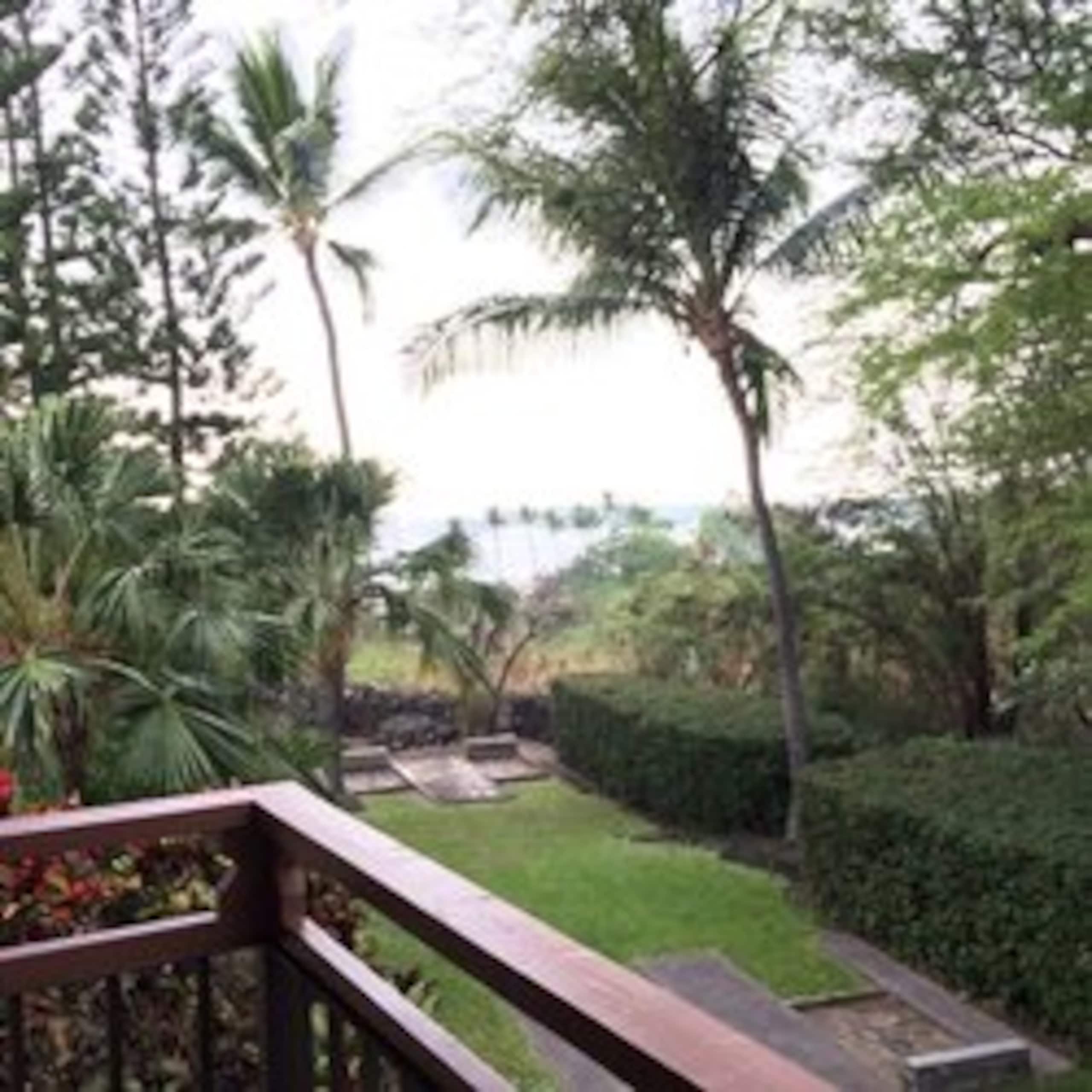 Condo in Kailua-Kona · ★5.0 · 1 bedroom · 2 beds · 1 bath - Image 3