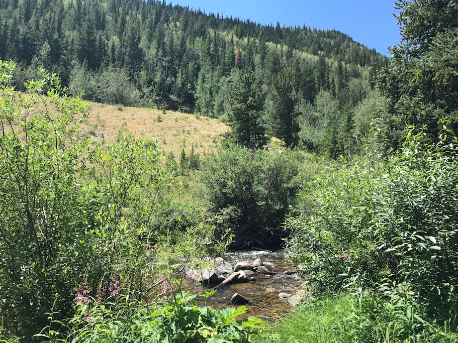 The rambling creek next to the cabin.