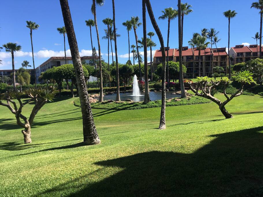 Lanai view of fountain