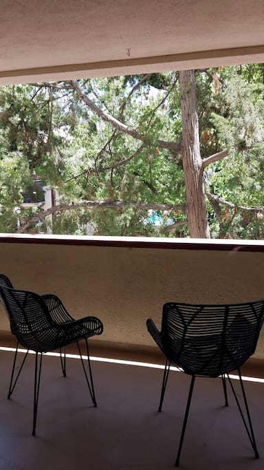 Beautiful wide balcony enclosed by trees.