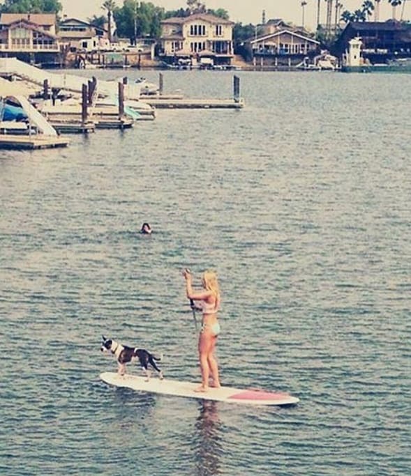 Watersport Fun