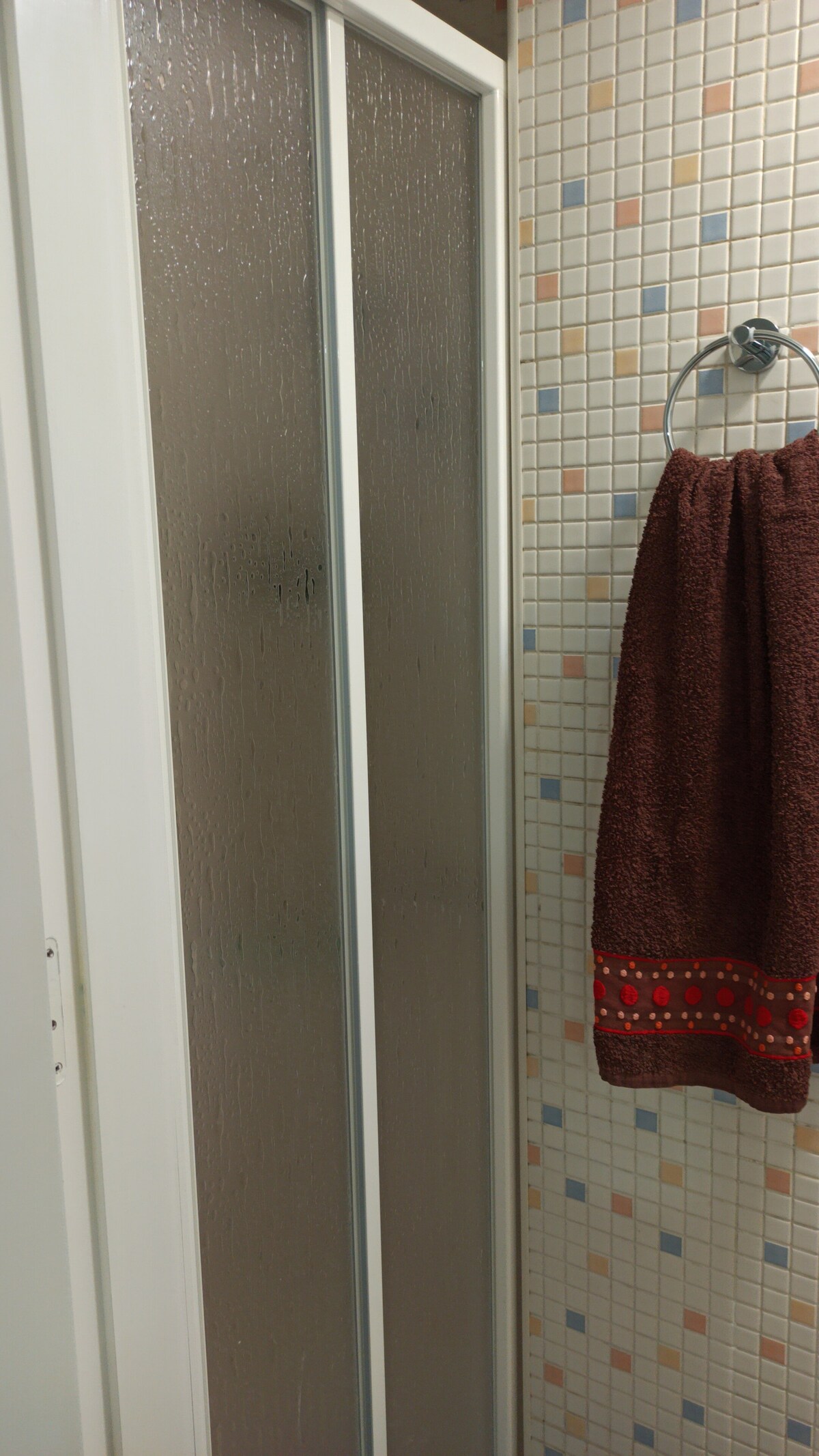 A shower area is featured, enclosed by frosted glass doors that reflect light. A towel bar displays a brown towel with decorative stitching, contrasting with the colorful tiled walls. The overall space presents a functional and tidy bathing environment.