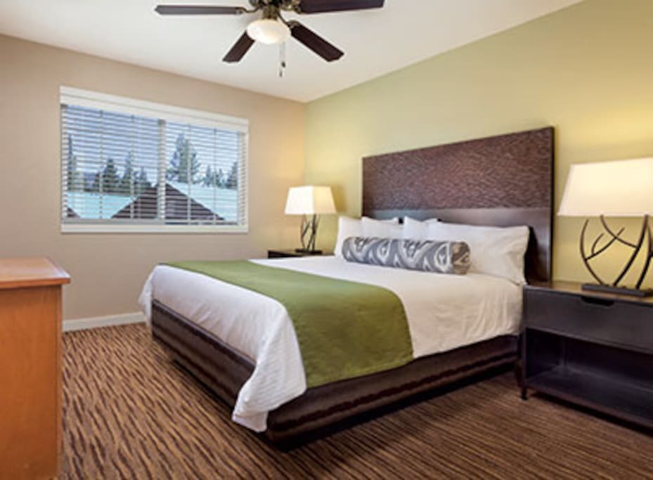 This Picture is of one bedroom unit (there is no separate bedroom in the studio condos)