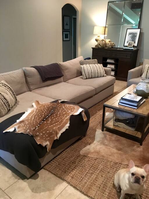 living room. cute puppy not included.