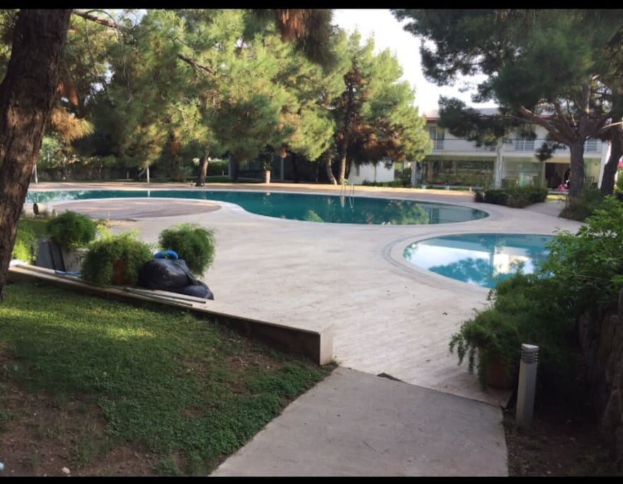 Pool II