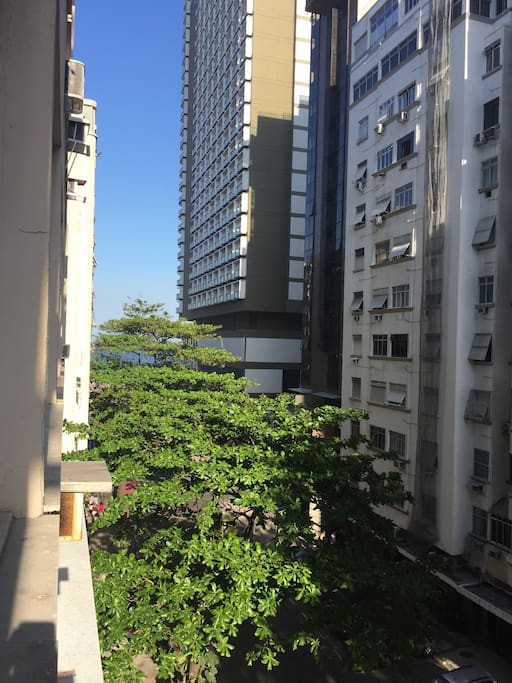 Vista Janela