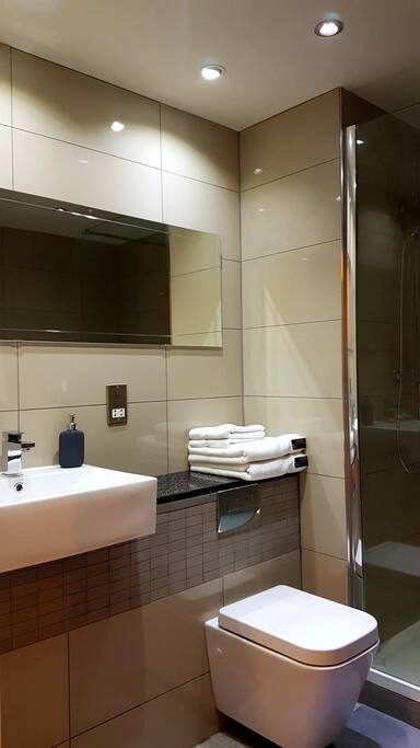 5 Star Modern Bathroom