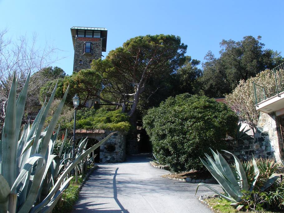 the private road to "VILLA VECCHIONA" the beach is to the left