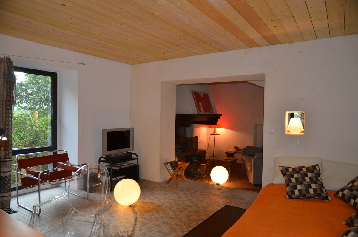 A bright living space is presented with natural wood ceilings and modern furniture. A comfortable sofa is paired with visible accent pillows, and a television is positioned nearby. Warm lighting is provided by a floor lamp, enhancing the inviting ambiance of the area.