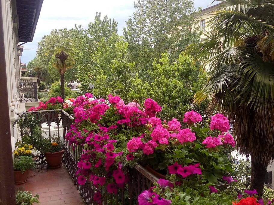 Balcony on the 1st floor.