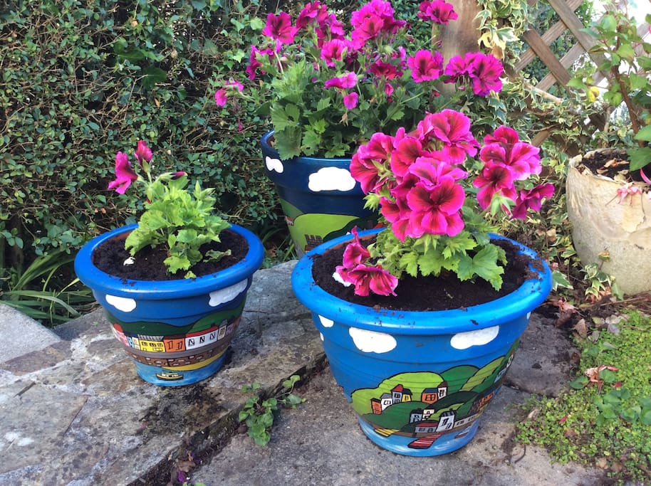 Flowers on the terrace