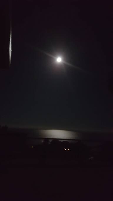 View from bedroom