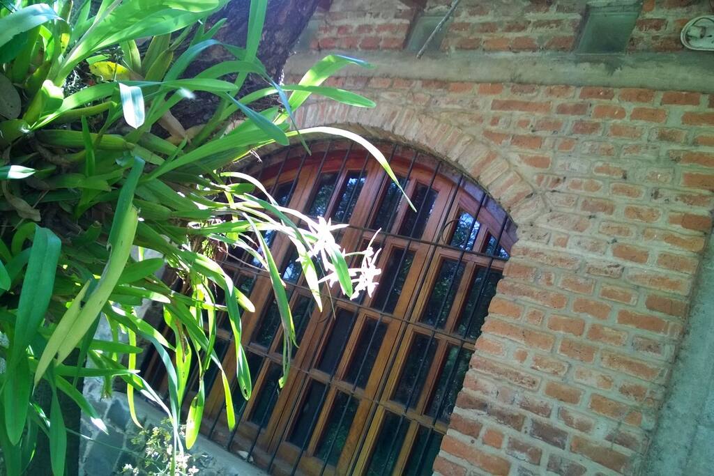 Orquideas nativas y pajaros
