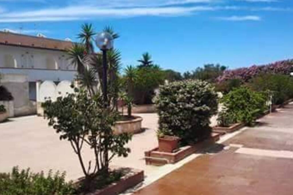 Terrazza 2