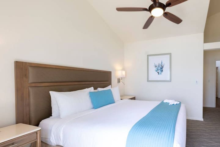 Airbnb Del Mar Vacation Rentals Places To Stay California