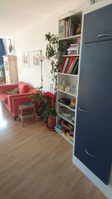 the living room with the couch