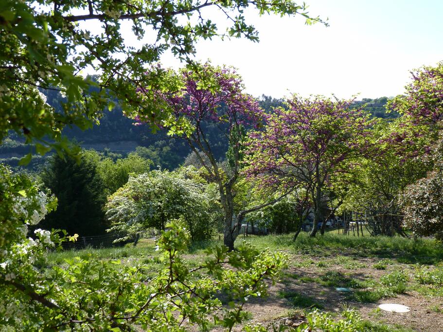 jardin