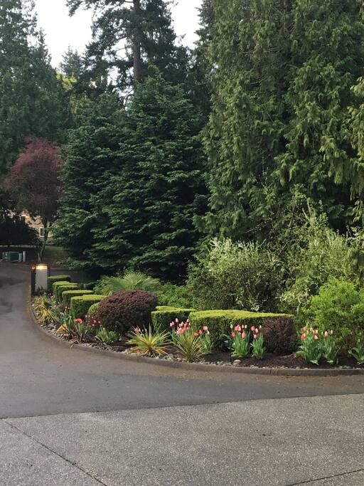 Driveway has Security Gate