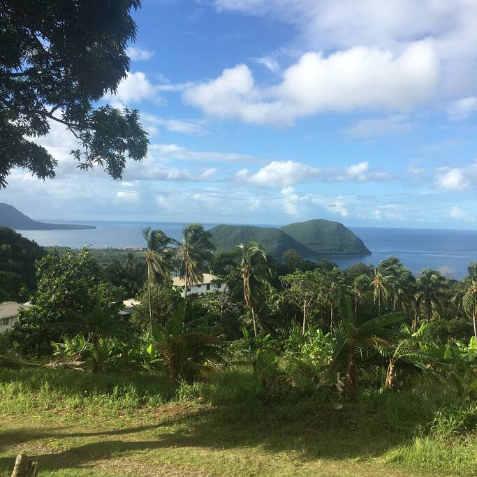 Good morning Dominica!