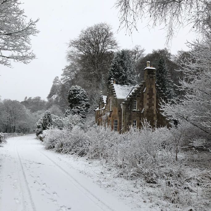 ☆Secluded, historic cottage, with castle tour Houses for Rent in